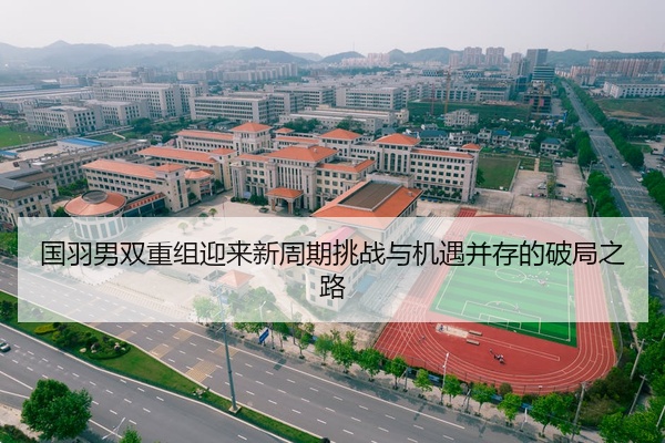 国羽男双重组迎来新周期挑战与机遇并存的破局之路